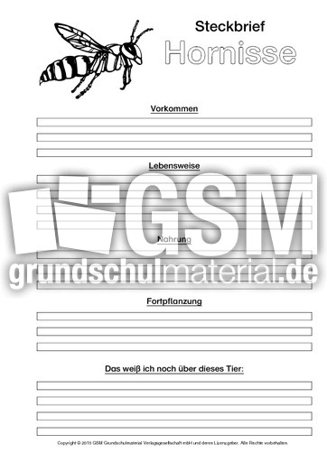 Hornisse-Steckbriefvorlage-sw.pdf